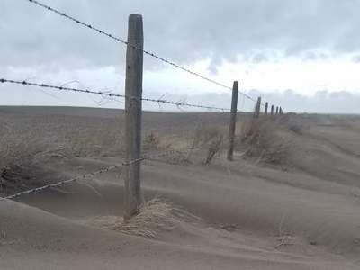 A barbed wire fence stretches into the distance on a barren, sandy field with dead, dry plants