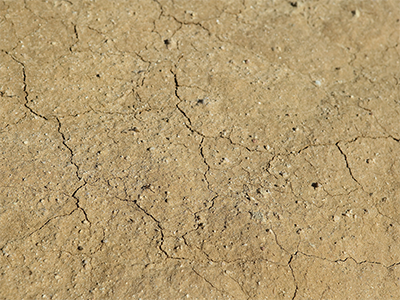 Phot of dry cracked soil